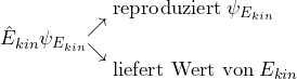 \[\hat{E}_{kin} \psi_{E_{kin}} \begin{matrix} \\ \nearrow \\ \searrow \\ \\ \end{matrix} {\displaystyle {\begin{aligned} &\left \text{reproduziert} \: \psi_{E_{kin}}\\ \\ &\left \text{liefert Wert von} \: E_{kin} \end{aligned}\]